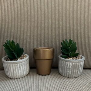 Gold and Silver Succulent Planter Set